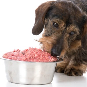 Raw Food