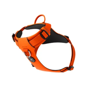 AirMeshHarness-Orange_Shot1.jpg
