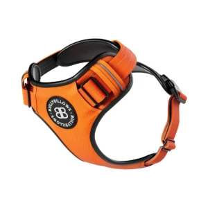 PH-Orange.jpg