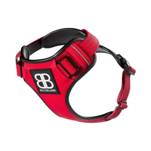 RED_1_1.jpg