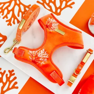 COCOPUP London – Luxe Velvet Lead - Coral Core