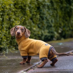 DogHouse Dachshund Fleece Winter Suits with 4 Legs