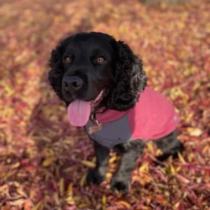 Doghouse Fleece Jumper For All Breeds With A Waterproof Belly Panel