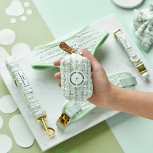 Untitled_design_-_2025-02-19T105412.572.png
